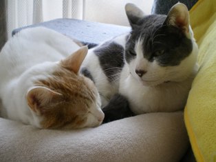 c0109090_12501842.jpg