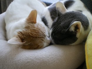 c0109090_12502898.jpg
