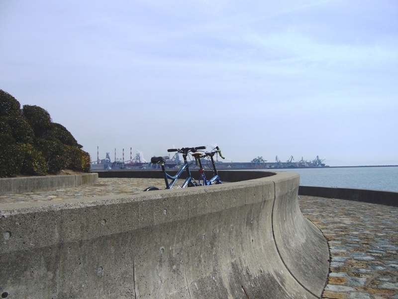 f0141890_21131679.jpg