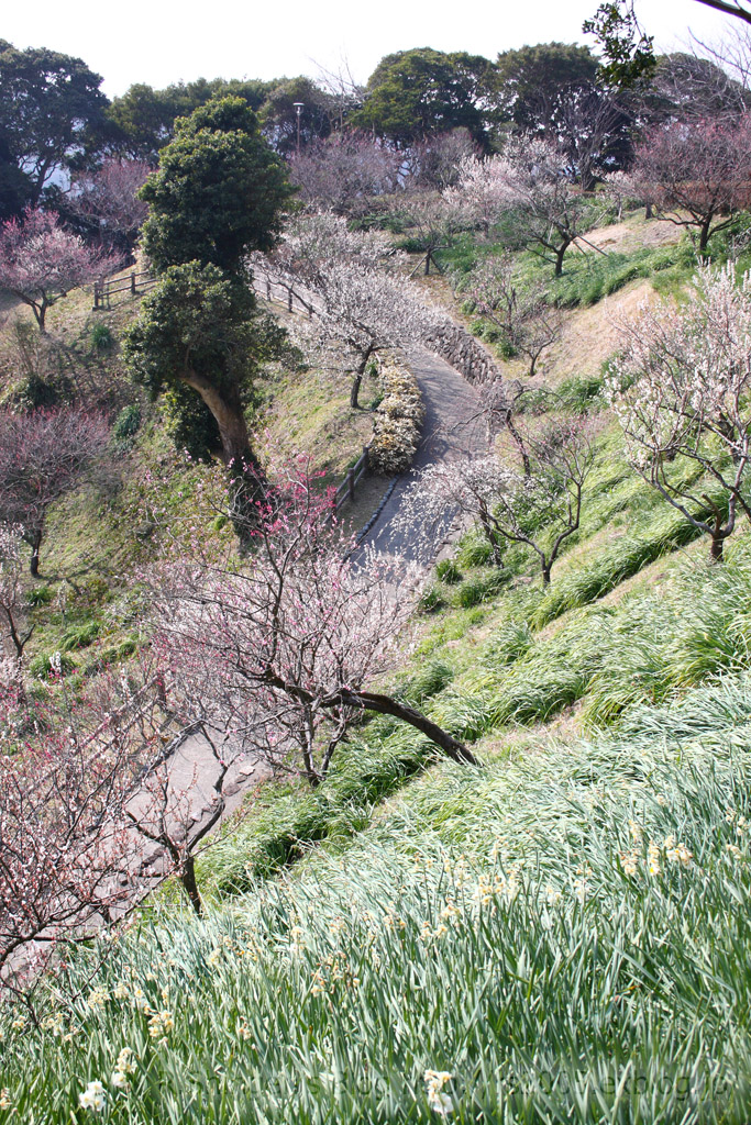c0025498_23184390.jpg