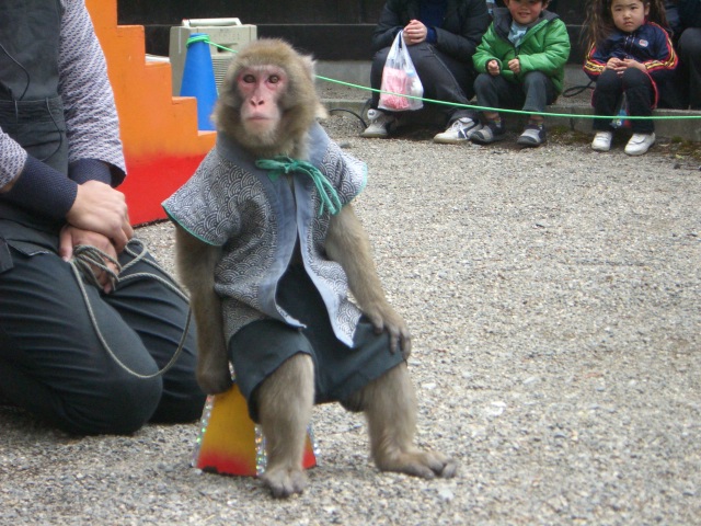 a0088007_2248643.jpg
