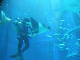 c0138908_2031573.jpg