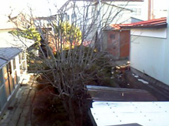 c0014117_21491735.jpg