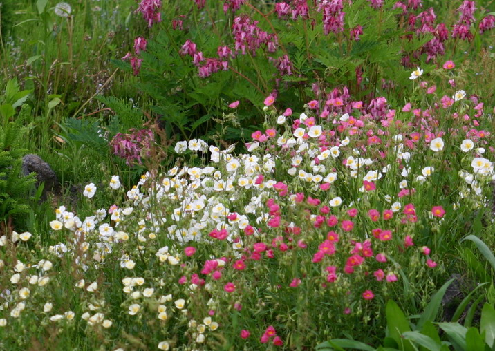 d0143719_1312163.jpg