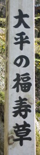 d0139231_23352639.jpg