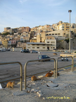 c0077533_7125320.jpg