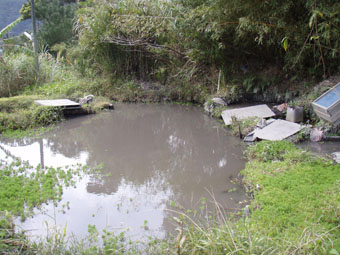 e0041337_23541920.jpg