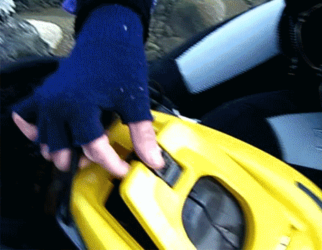 a0056140_17261191.gif