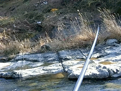 a0056140_20435833.gif