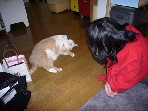 鍋の会と憤慨_e0058443_23594279.jpg