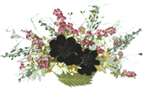 f0115653_1032144.gif