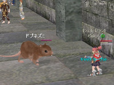 キャッチターゲット_d0023063_21354039.jpg