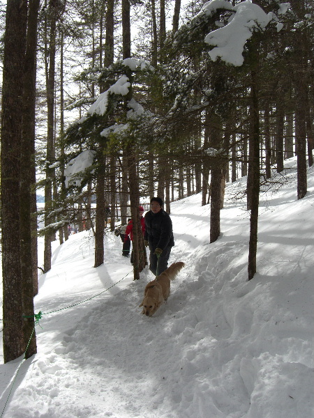 まだ、雪遊び♪_a0104564_22392846.jpg