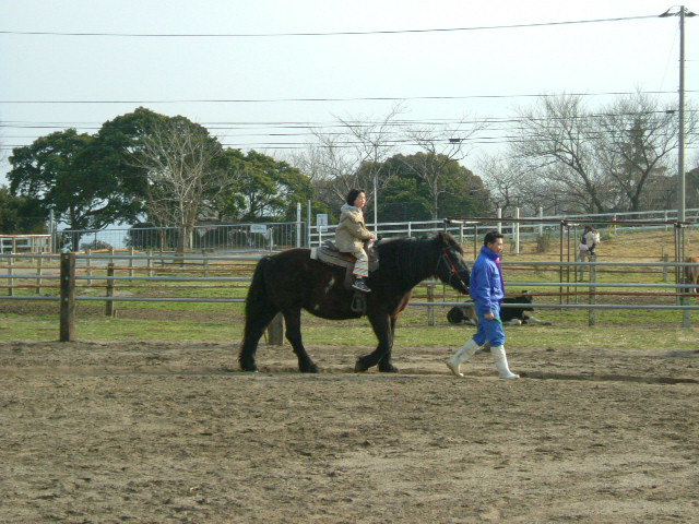 三女Day in マザー牧場_c0082567_0122871.jpg