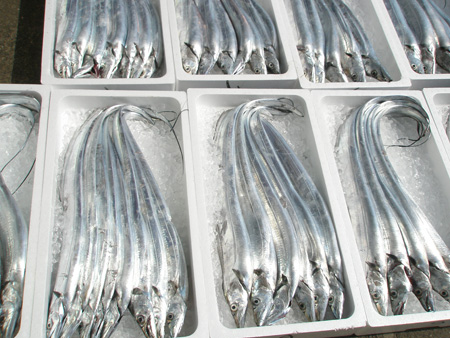c0148970_1125414.jpg