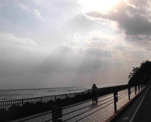 a0061977_1883822.jpg