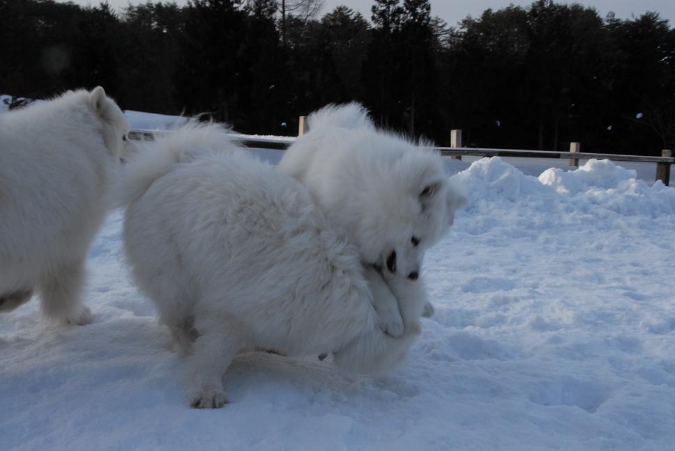 雪中オフのご報告 No3_a0049296_16544279.jpg