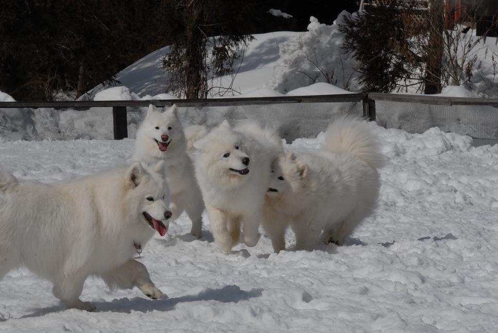 雪中オフのご報告  No４_a0049296_1813462.jpg
