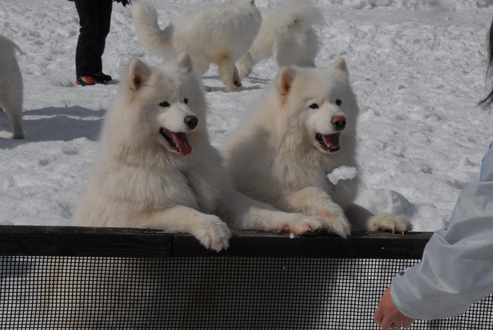 雪中オフのご報告  No４_a0049296_18245131.jpg