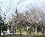 f0017897_15453947.jpg
