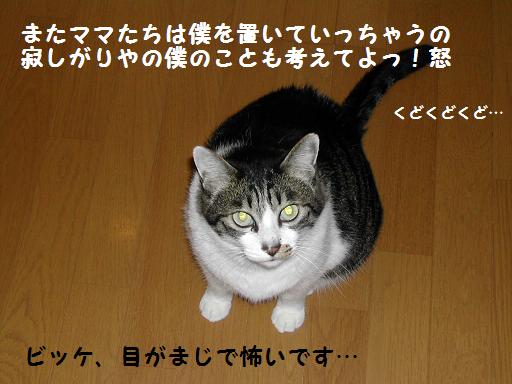 f0081100_21134533.jpg
