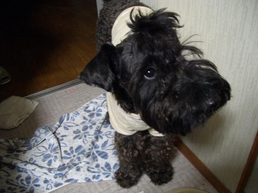c0037701_005046.jpg