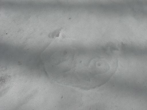 b0116703_1283715.jpg
