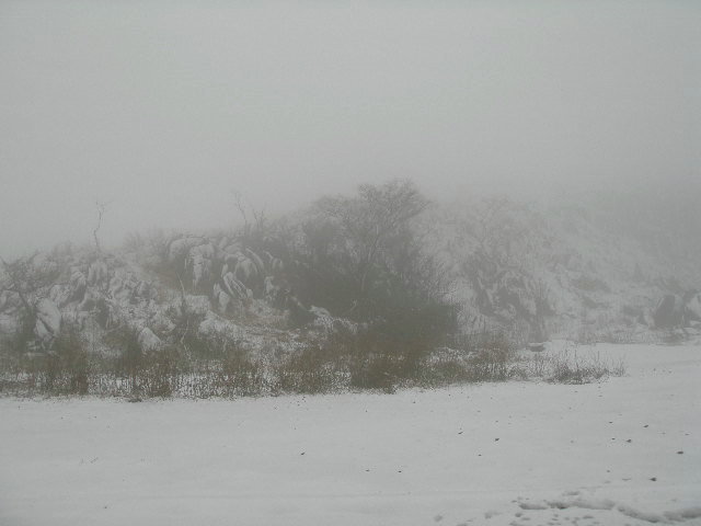 c0036203_19442793.jpg