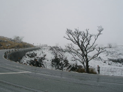 c0036203_19501555.jpg