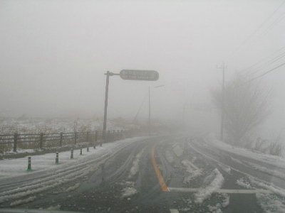 c0036203_19535639.jpg