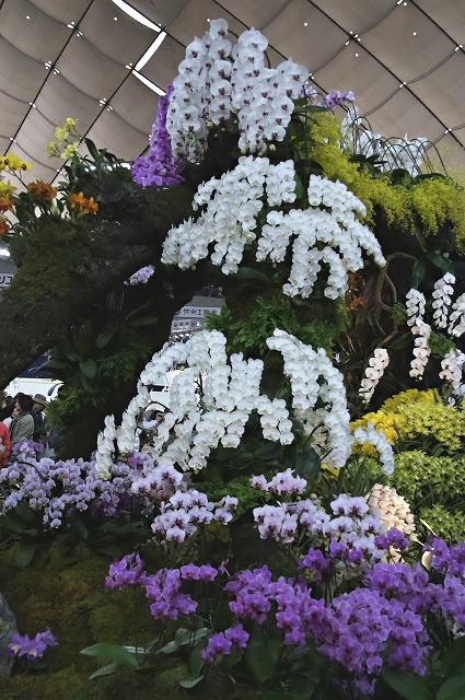 e0039703_2135598.jpg