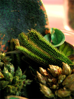 d0134806_2333578.jpg