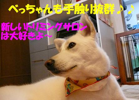 f0121712_10142135.jpg