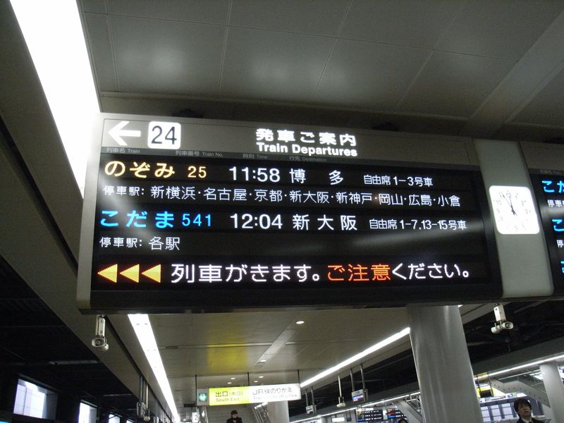 性分化機構の解明:第3回「冬のワークショップ」_c0025115_08372.jpg