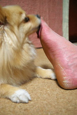 b0075318_2249598.gif