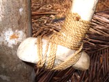 a0043520_87336.jpg