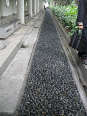 c0081032_14363567.jpg