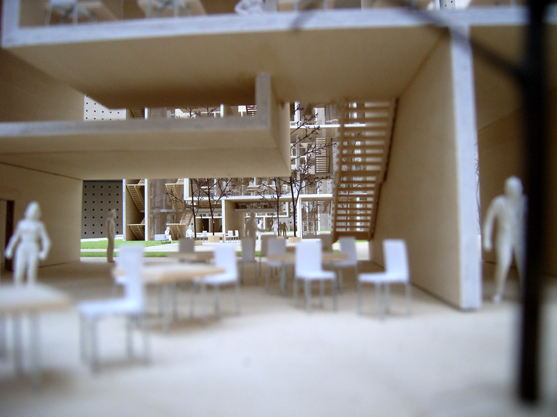 d0086747_28874.jpg