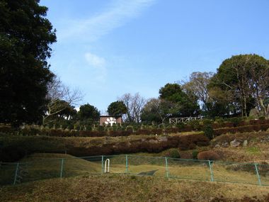 f0142948_22421170.jpg
