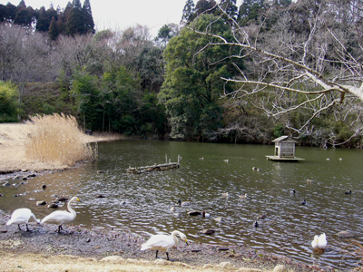 b0045357_8434674.jpg