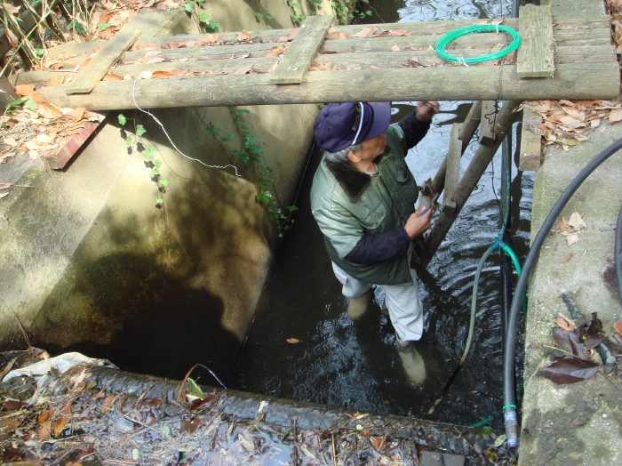 c0108460_1637384.jpg