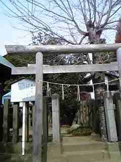 c0147261_23321177.jpg
