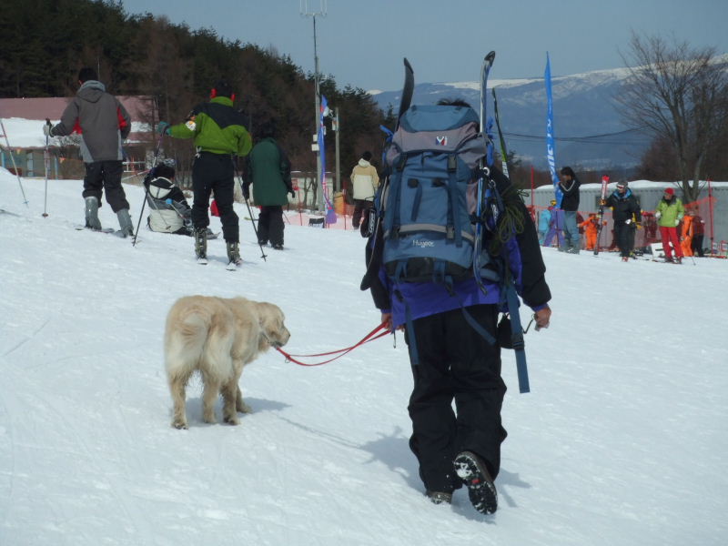 まだ、ありますよ～、雪遊び♪_a0104564_2372119.jpg