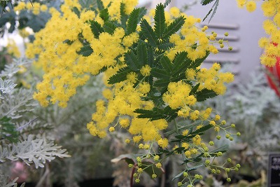 b0003280_2348925.jpg