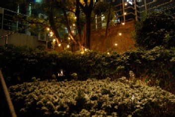 近いようで、まだ遠い・・・春_e0025817_2391641.jpg