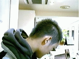 e0038719_044183.gif