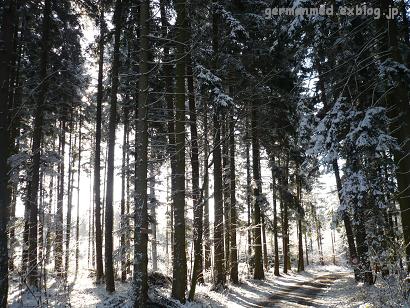 黒い森と春の雪_d0144726_20333149.jpg