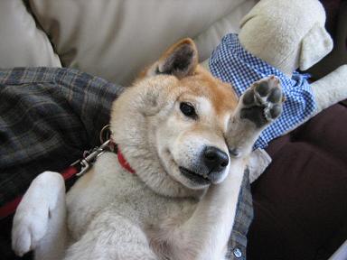 初めてのことづくし_c0049950_9345374.jpg