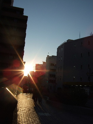 d0102664_10430.jpg