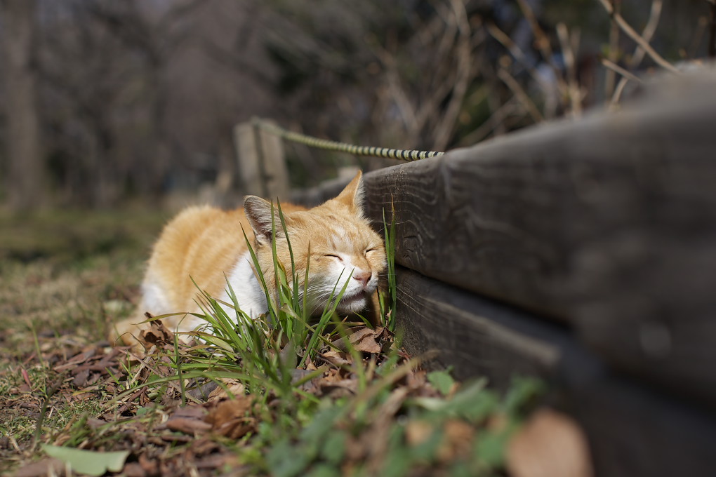 さあ！春に向かい突き進めよ_f0011273_23155449.jpg